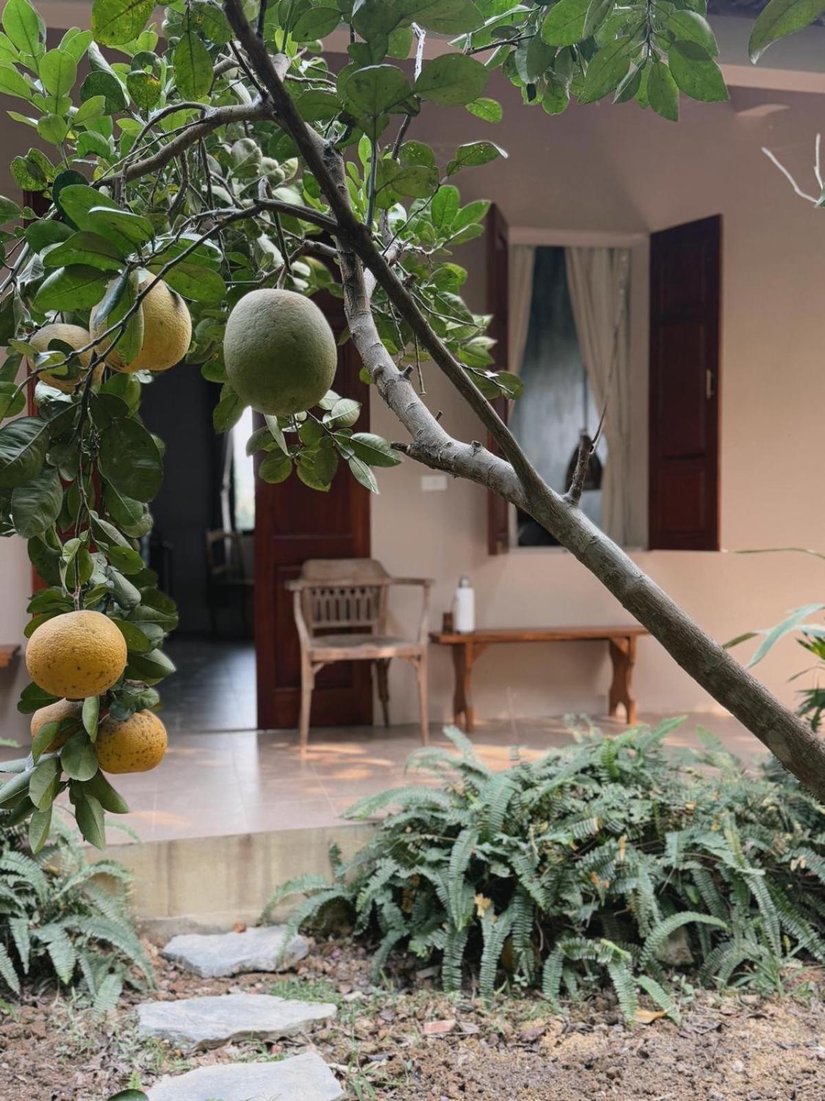 Nha Lua Homestay Нин Бин Екстериор снимка